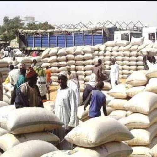 FEDERAL GOVERNMENT SET TO COMMENCE NATIONWIDE GRAIN DISTRIBUTION