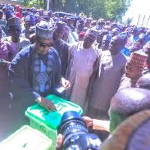 Zulum Votes in Mafa, Says Local Government Elections Test for 2027 Polls