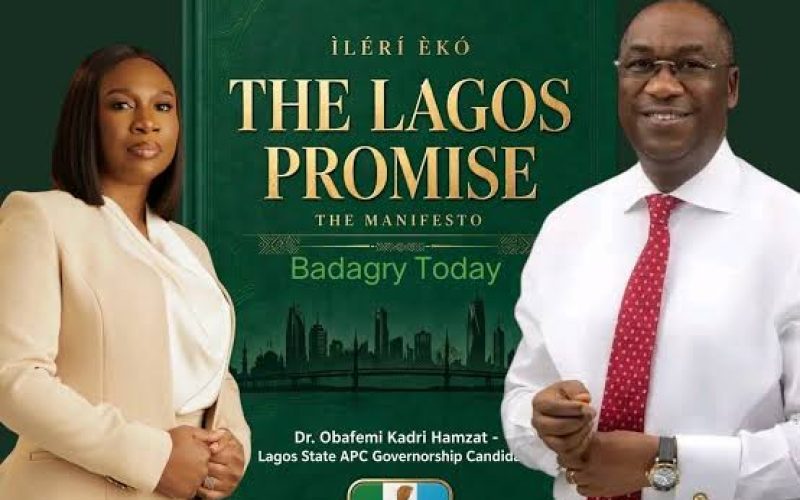 Hamzat Seven-Pillar Vision for Lagos