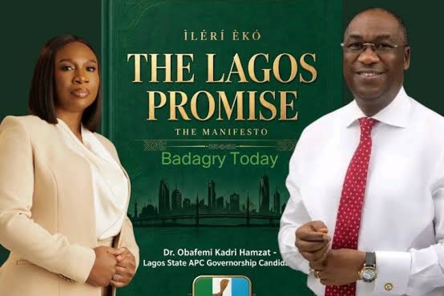 Hamzat Seven-Pillar Vision for Lagos
