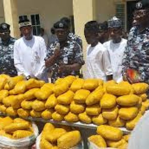 387 Blocks of Cannabis Bauchi