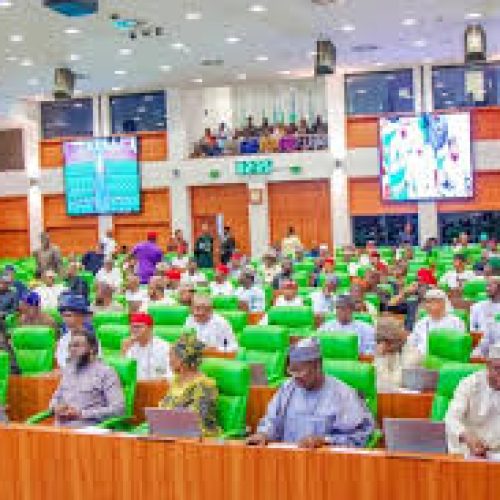 House of Reps Raises Alarm Over Maternal Mortality, Begins Oversight on Basic Healthcare Fund