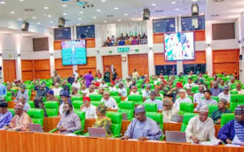 House of Reps Raises Alarm Over Maternal Mortality, Begins Oversight on Basic Healthcare Fund