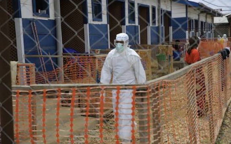 Ebola Cases
