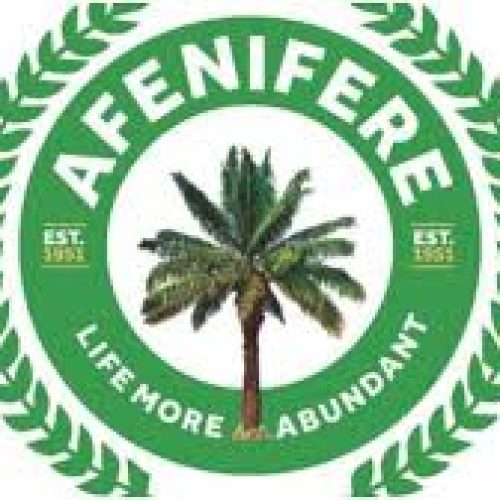 Afenifere Group Raises Southwest Security Concerns