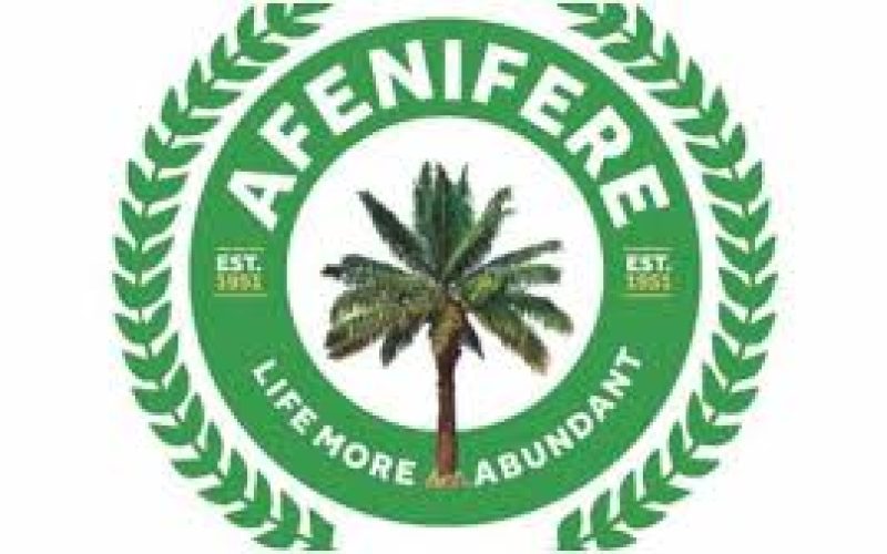 Afenifere Group Raises Southwest Security Concerns