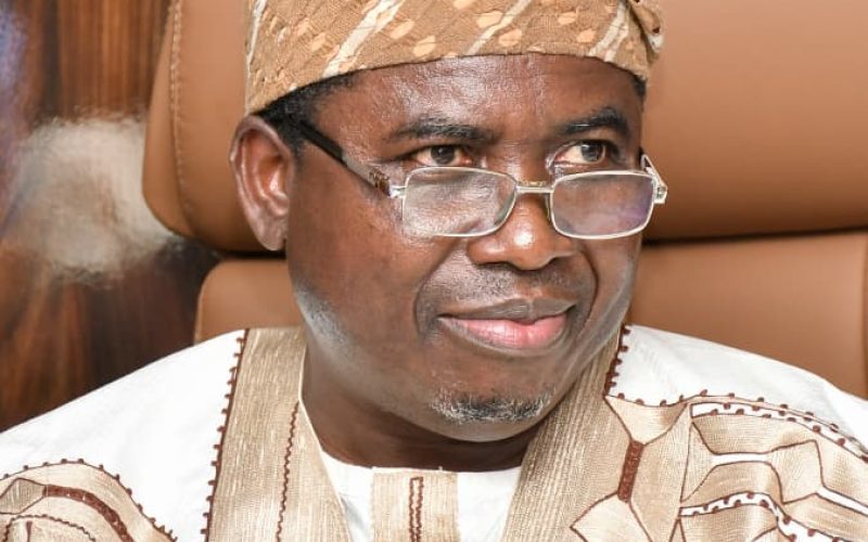 INEC Chairman Probe FCT Election