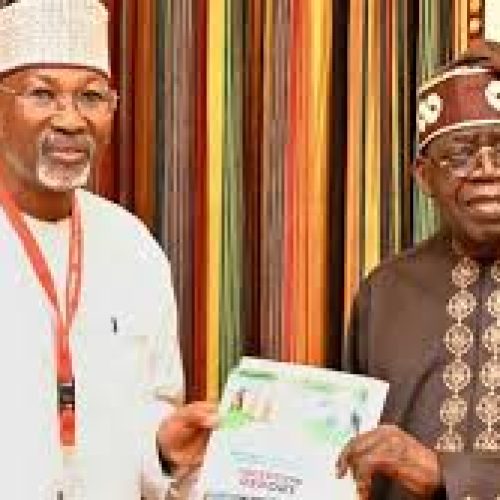 Jega Unveils Strategic Roadmap for Livestock Reform in Nigeria
