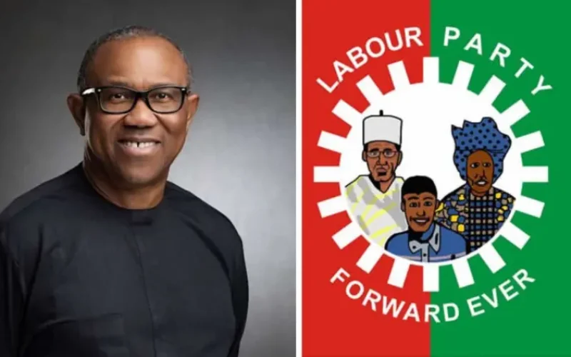 Labour Party Disowns Abure’s Ultimatum, Backs Peter Obi on Coalition Talks