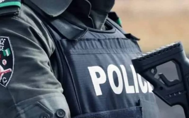 Police Neutralize 7 Kidnappers, Arrest 5 Robbery Suspects, Recover Rifles and Stolen Vehicles in Delta and Kaduna