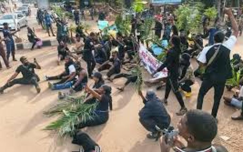 Police Restore Calm After Violent Protest Erupts in Makurdi