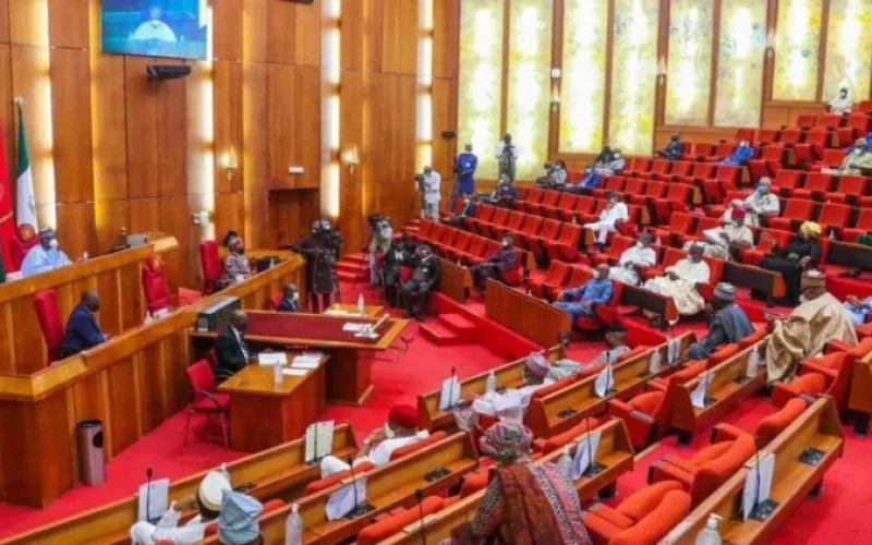 Senate Probes JAMB Charges