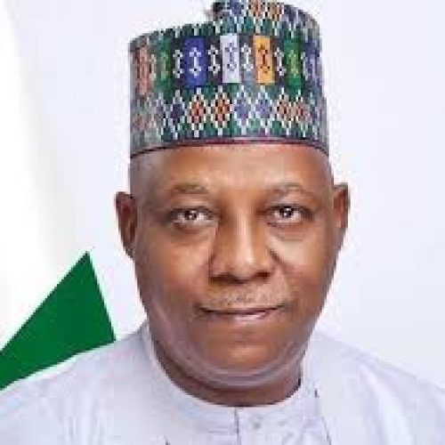 ADC to Tinubu: Shettima Spoke the Truth, President Has No Power to Remove a Governor