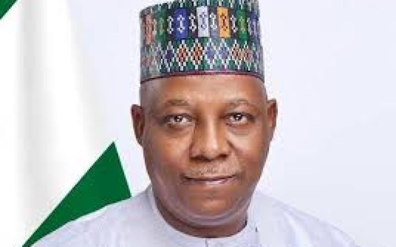 ADC to Tinubu: Shettima Spoke the Truth, President Has No Power to Remove a Governor