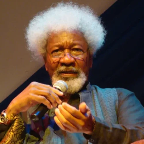 Wole Soyinka Speaks on June 12: Calls for Justice and Honors Forgotten Heroes