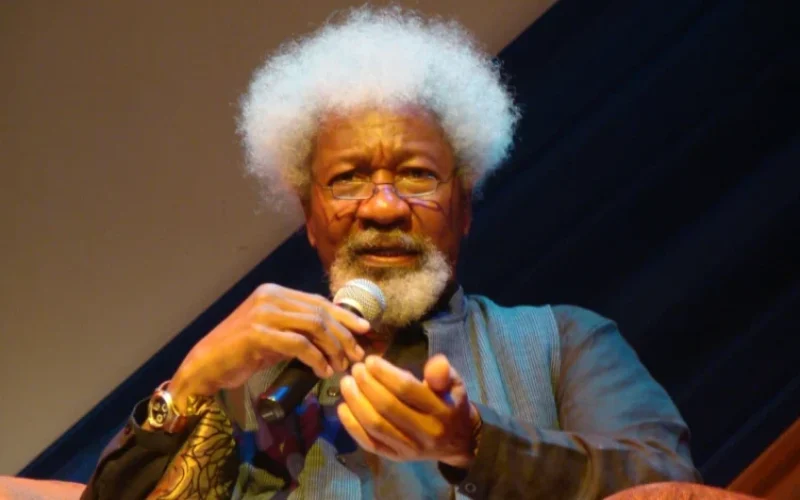 Wole Soyinka Speaks on June 12: Calls for Justice and Honors Forgotten Heroes